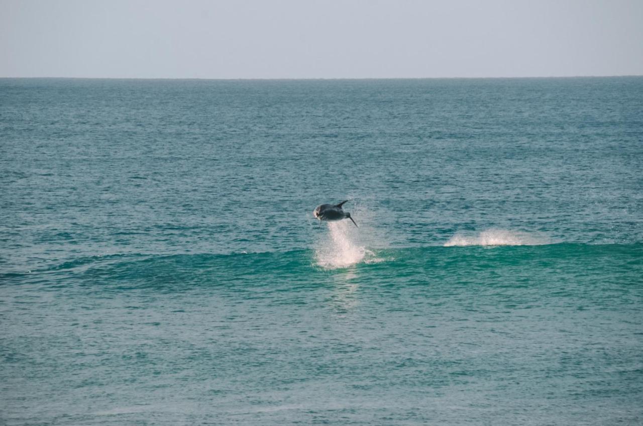 Hotel Aotearoa Surf Eco Pods Te Arai Zewnętrze zdjęcie
