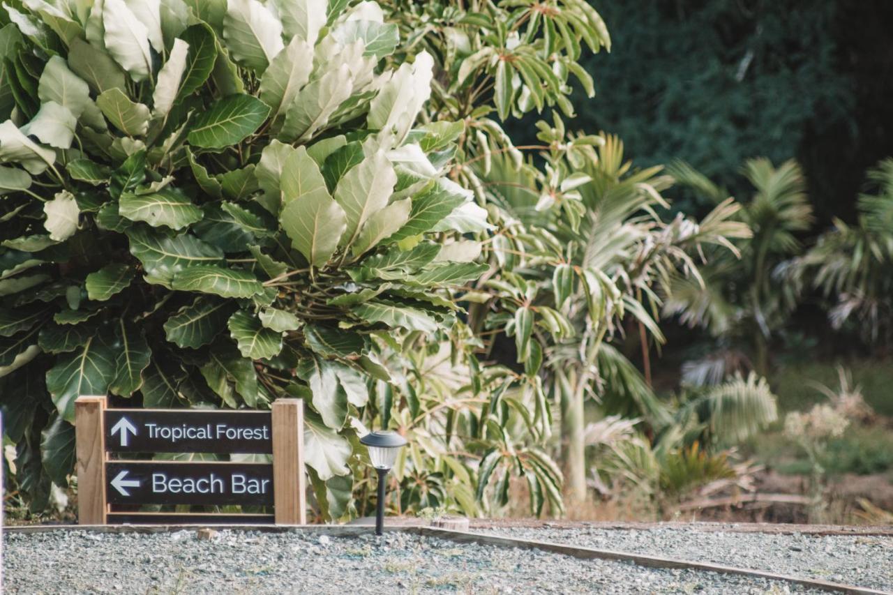 Hotel Aotearoa Surf Eco Pods Te Arai Zewnętrze zdjęcie